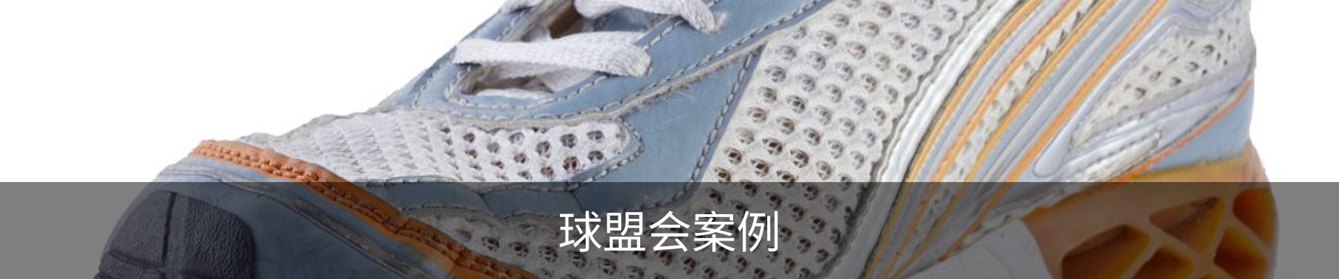 球盟会案例